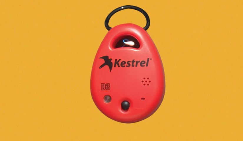 kestrelCLOSE.jpg